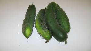 cukes cukes