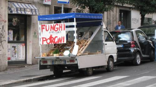 porcini cart
